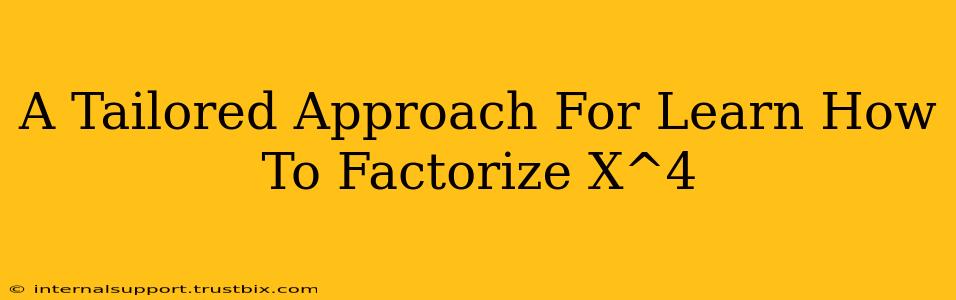 A Tailored Approach For Learn How To Factorize X^4