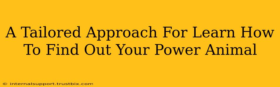 A Tailored Approach For Learn How To Find Out Your Power Animal