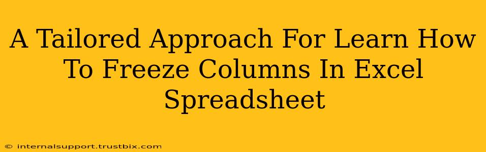 A Tailored Approach For Learn How To Freeze Columns In Excel Spreadsheet