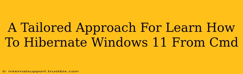 A Tailored Approach For Learn How To Hibernate Windows 11 From Cmd