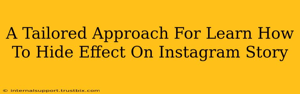 A Tailored Approach For Learn How To Hide Effect On Instagram Story