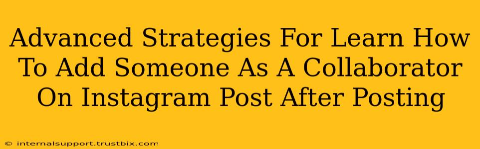 Advanced Strategies For Learn How To Add Someone As A Collaborator On Instagram Post After Posting