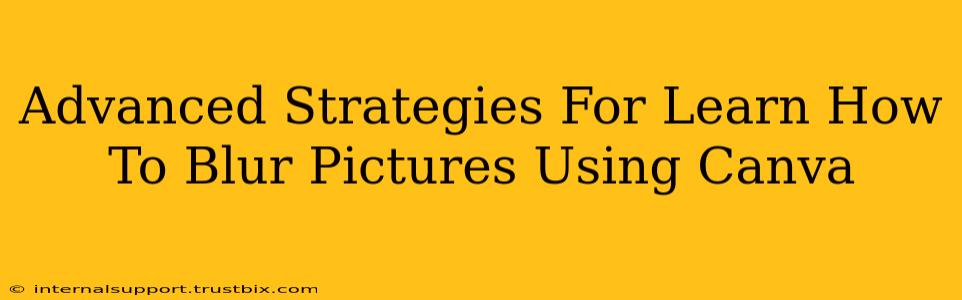 Advanced Strategies For Learn How To Blur Pictures Using Canva