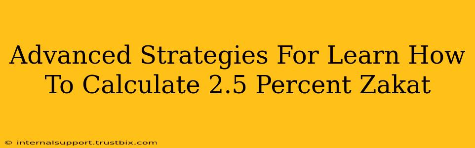 Advanced Strategies For Learn How To Calculate 2.5 Percent Zakat