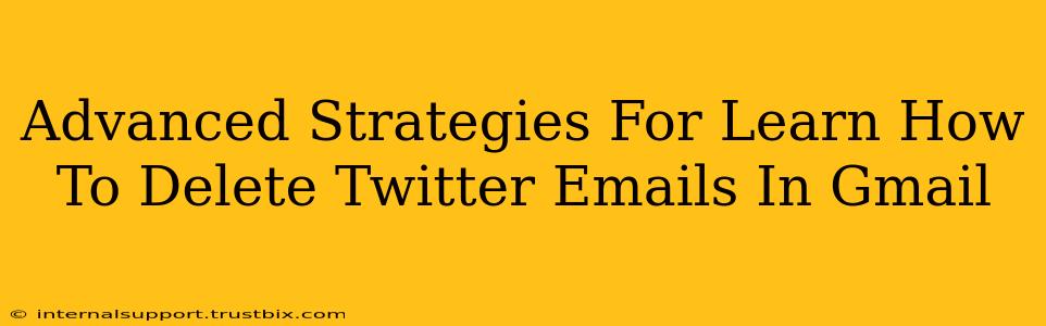 Advanced Strategies For Learn How To Delete Twitter Emails In Gmail