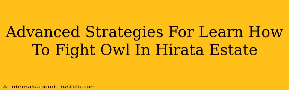 Advanced Strategies For Learn How To Fight Owl In Hirata Estate