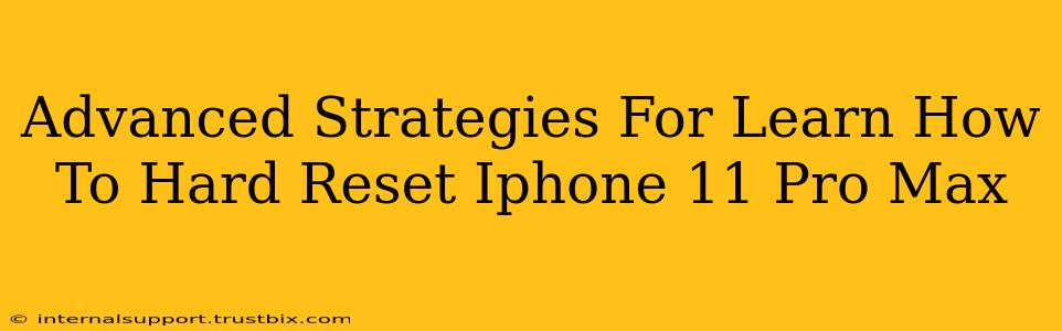 Advanced Strategies For Learn How To Hard Reset Iphone 11 Pro Max