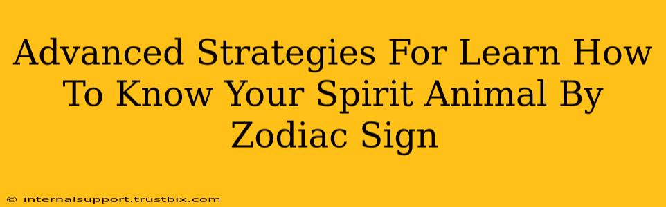 Advanced Strategies For Learn How To Know Your Spirit Animal By Zodiac Sign