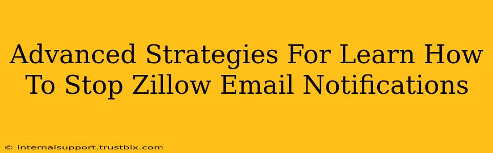 Advanced Strategies For Learn How To Stop Zillow Email Notifications