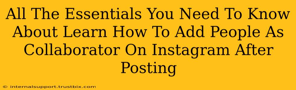 All The Essentials You Need To Know About Learn How To Add People As Collaborator On Instagram After Posting