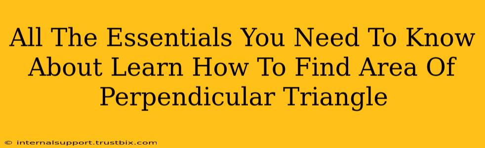 All The Essentials You Need To Know About Learn How To Find Area Of Perpendicular Triangle