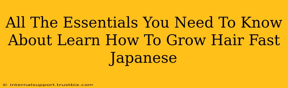 All The Essentials You Need To Know About Learn How To Grow Hair Fast Japanese