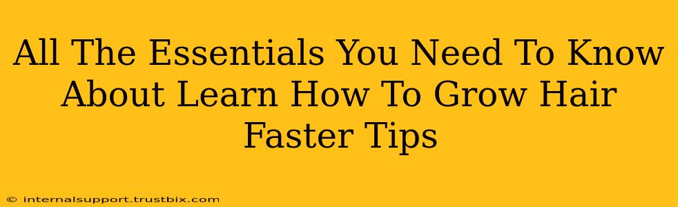 All The Essentials You Need To Know About Learn How To Grow Hair Faster Tips