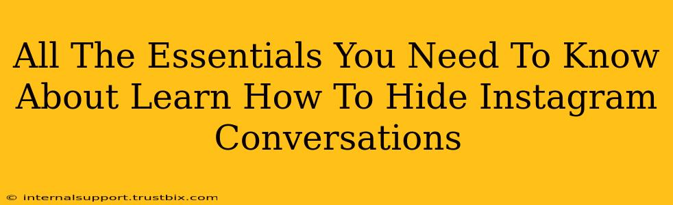 All The Essentials You Need To Know About Learn How To Hide Instagram Conversations