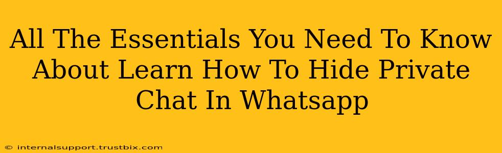 All The Essentials You Need To Know About Learn How To Hide Private Chat In Whatsapp