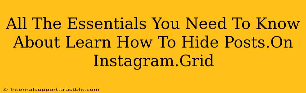 All The Essentials You Need To Know About Learn How To Hide Posts.On Instagram.Grid