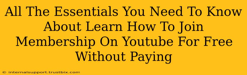 All The Essentials You Need To Know About Learn How To Join Membership On Youtube For Free Without Paying