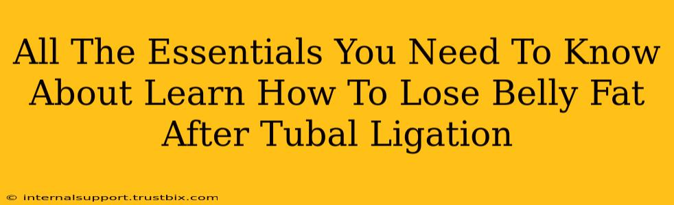 All The Essentials You Need To Know About Learn How To Lose Belly Fat After Tubal Ligation