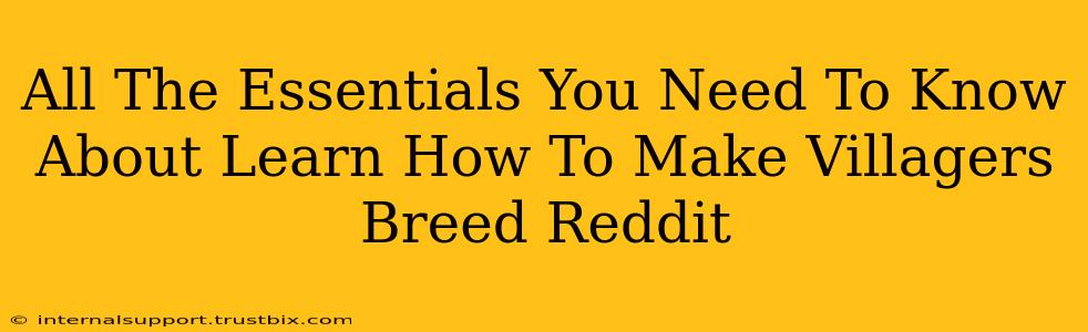 All The Essentials You Need To Know About Learn How To Make Villagers Breed Reddit