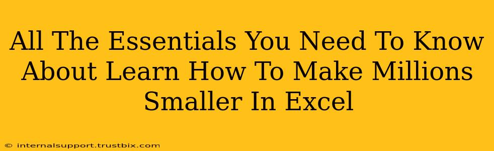 All The Essentials You Need To Know About Learn How To Make Millions Smaller In Excel