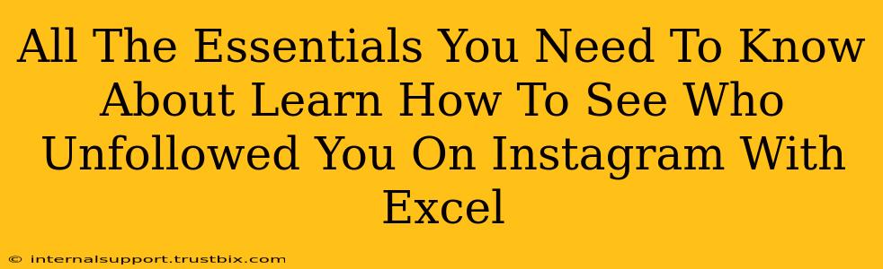 All The Essentials You Need To Know About Learn How To See Who Unfollowed You On Instagram With Excel