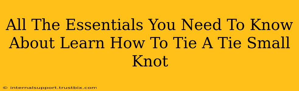 All The Essentials You Need To Know About Learn How To Tie A Tie Small Knot