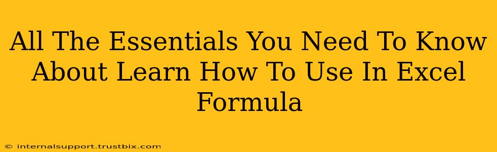 All The Essentials You Need To Know About Learn How To Use In Excel Formula