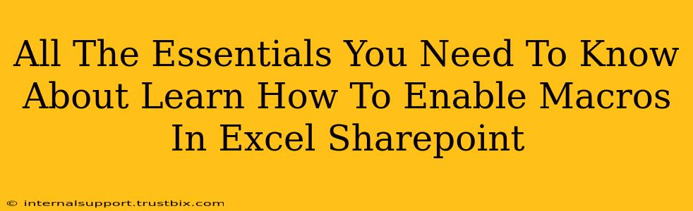 All The Essentials You Need To Know About Learn How To Enable Macros In Excel Sharepoint