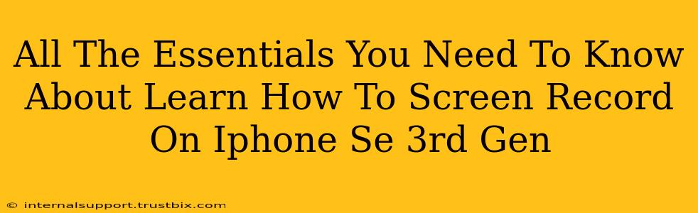 All The Essentials You Need To Know About Learn How To Screen Record On Iphone Se 3rd Gen