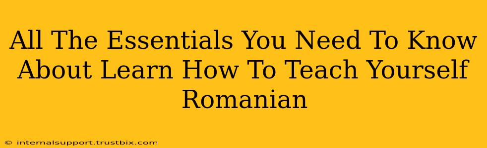 All The Essentials You Need To Know About Learn How To Teach Yourself Romanian