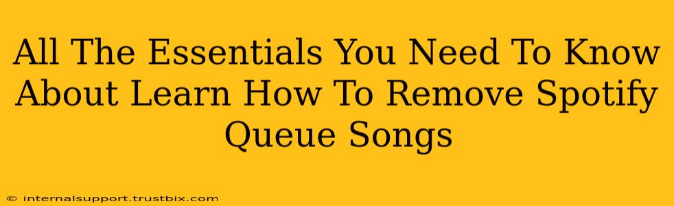 All The Essentials You Need To Know About Learn How To Remove Spotify Queue Songs