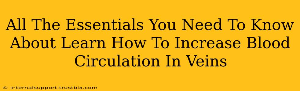 All The Essentials You Need To Know About Learn How To Increase Blood Circulation In Veins