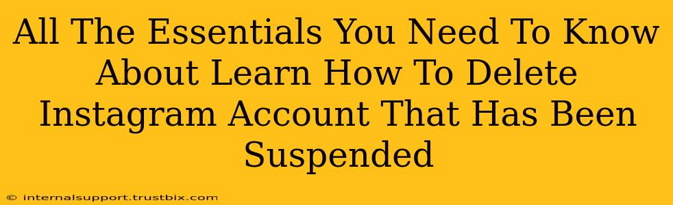 All The Essentials You Need To Know About Learn How To Delete Instagram Account That Has Been Suspended