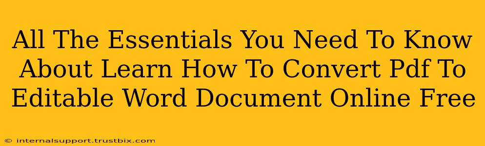 All The Essentials You Need To Know About Learn How To Convert Pdf To Editable Word Document Online Free