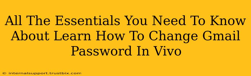 All The Essentials You Need To Know About Learn How To Change Gmail Password In Vivo