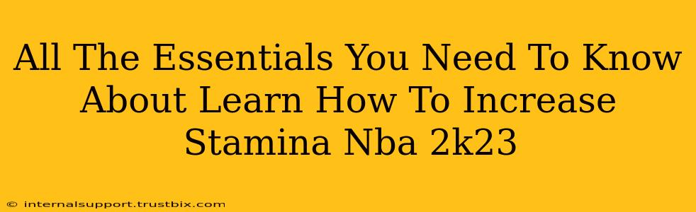 All The Essentials You Need To Know About Learn How To Increase Stamina Nba 2k23