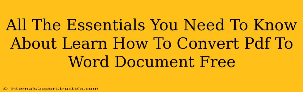 All The Essentials You Need To Know About Learn How To Convert Pdf To Word Document Free