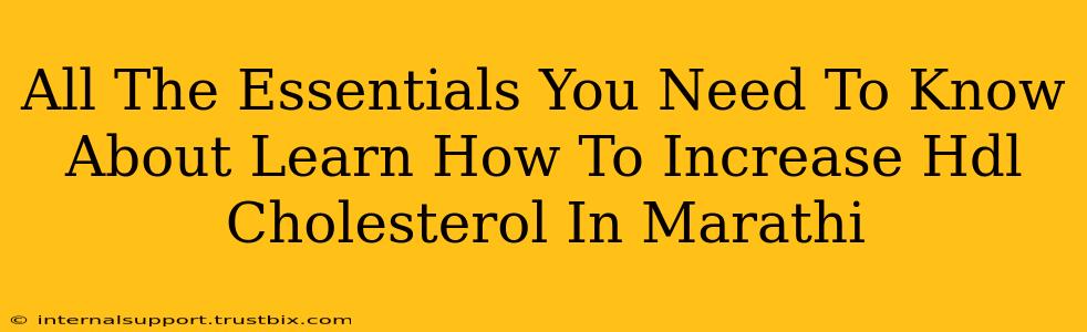 All The Essentials You Need To Know About Learn How To Increase Hdl Cholesterol In Marathi