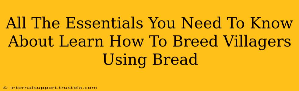 All The Essentials You Need To Know About Learn How To Breed Villagers Using Bread