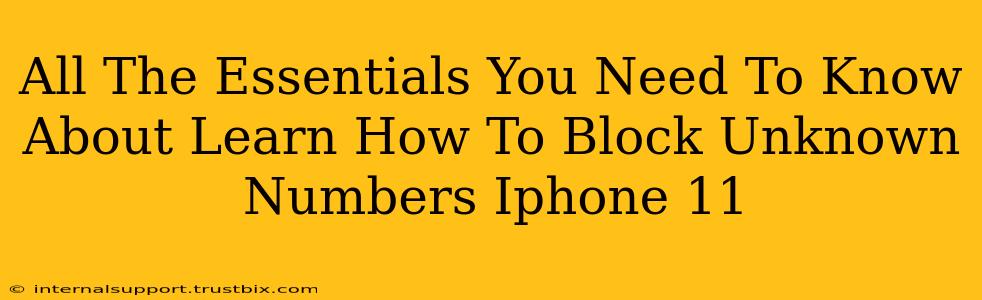 All The Essentials You Need To Know About Learn How To Block Unknown Numbers Iphone 11