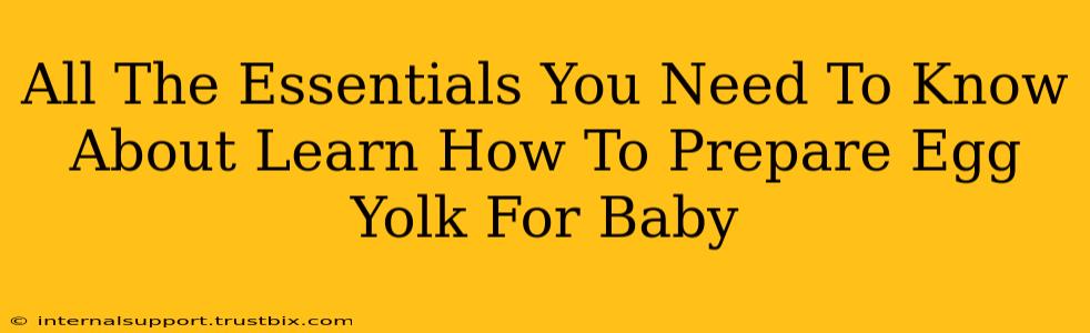 All The Essentials You Need To Know About Learn How To Prepare Egg Yolk For Baby