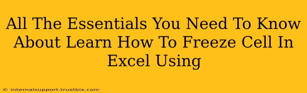 All The Essentials You Need To Know About Learn How To Freeze Cell In Excel Using