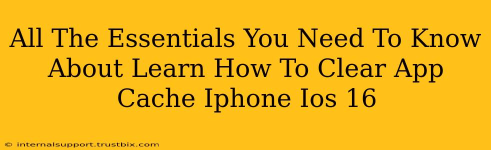 All The Essentials You Need To Know About Learn How To Clear App Cache Iphone Ios 16