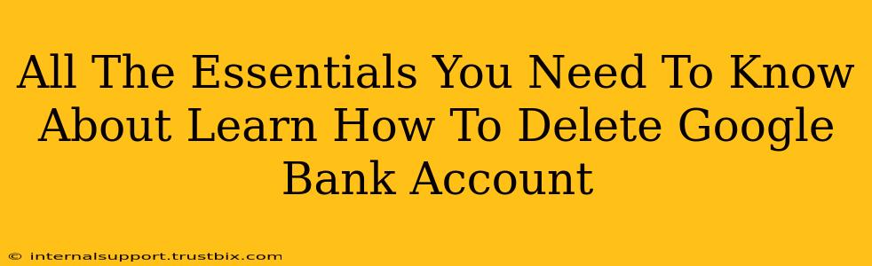 All The Essentials You Need To Know About Learn How To Delete Google Bank Account