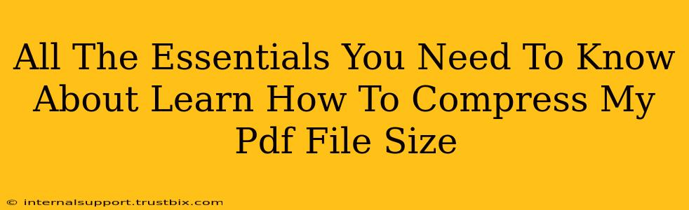 All The Essentials You Need To Know About Learn How To Compress My Pdf File Size