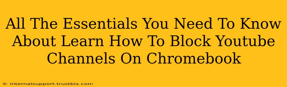 All The Essentials You Need To Know About Learn How To Block Youtube Channels On Chromebook