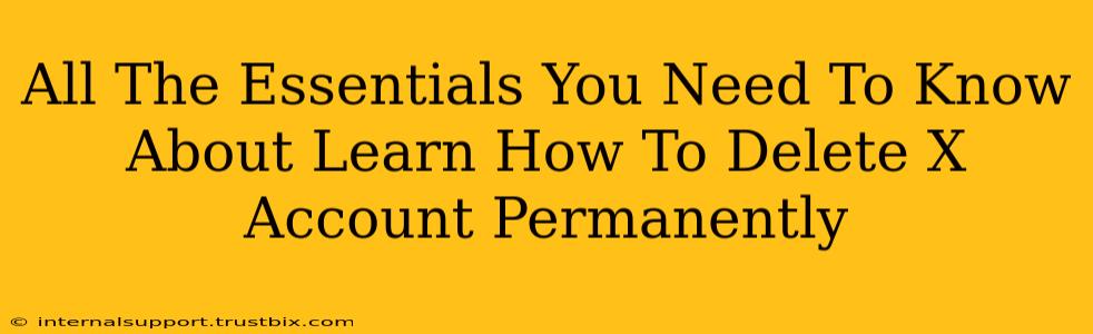 All The Essentials You Need To Know About Learn How To Delete X Account Permanently