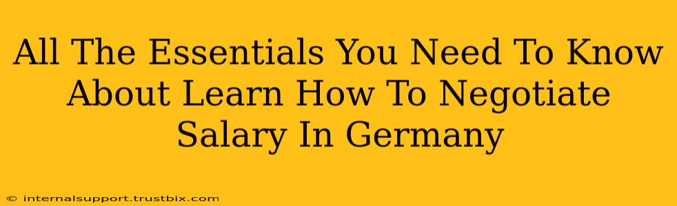 All The Essentials You Need To Know About Learn How To Negotiate Salary In Germany