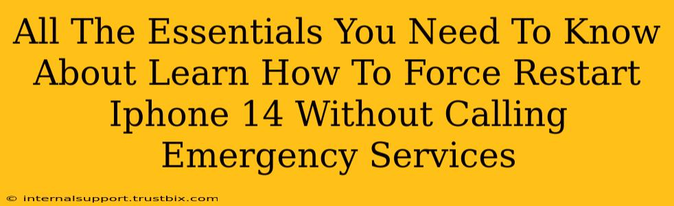 All The Essentials You Need To Know About Learn How To Force Restart Iphone 14 Without Calling Emergency Services