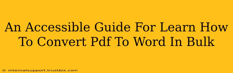 An Accessible Guide For Learn How To Convert Pdf To Word In Bulk